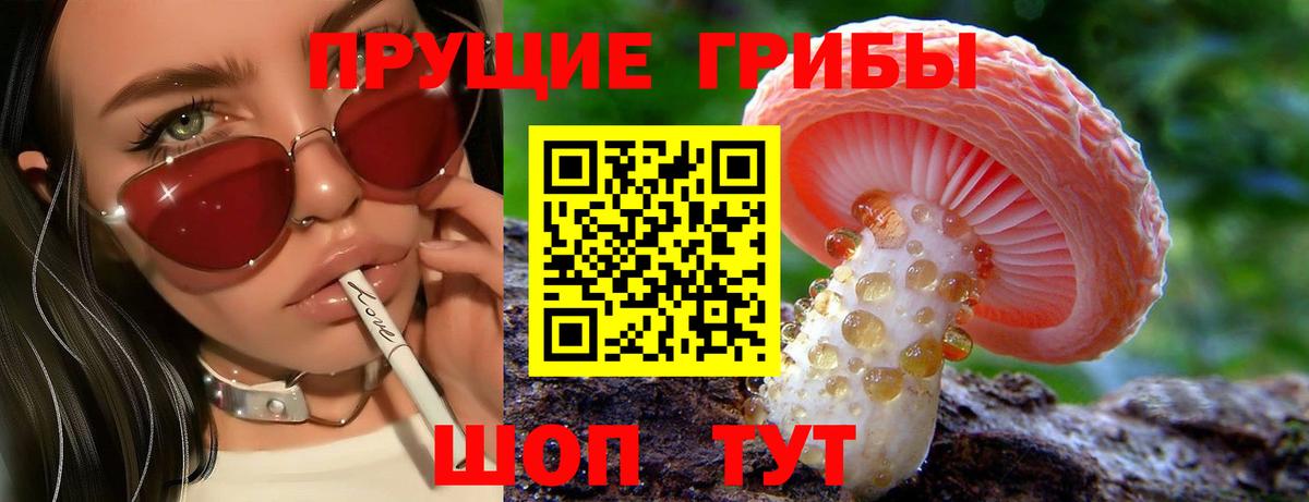 Псилоцибиновые грибы Cubensis  Вход с VPN  Галлюциногенные грибы Psilocybe  Тобольск 