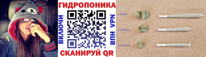 Бошки Шишки семена  где продают   Тобольск 