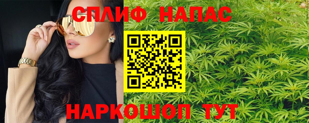 Канабис White Widow  Канабис Amnesia  Каннабис план  Тобольск 